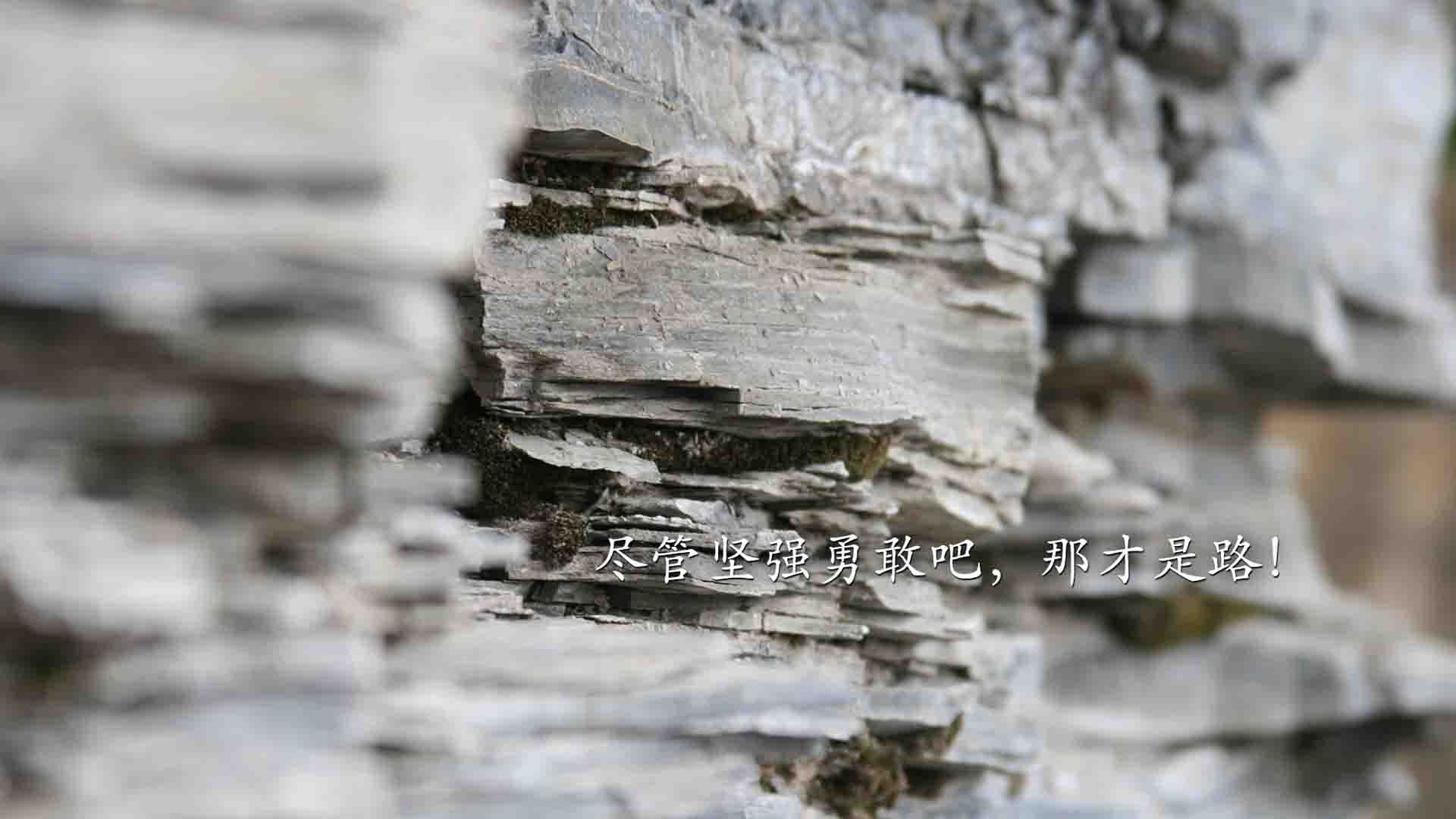 kaiyun.com-大型海上风筝比赛，天空中的运动盛典，海边风筝节