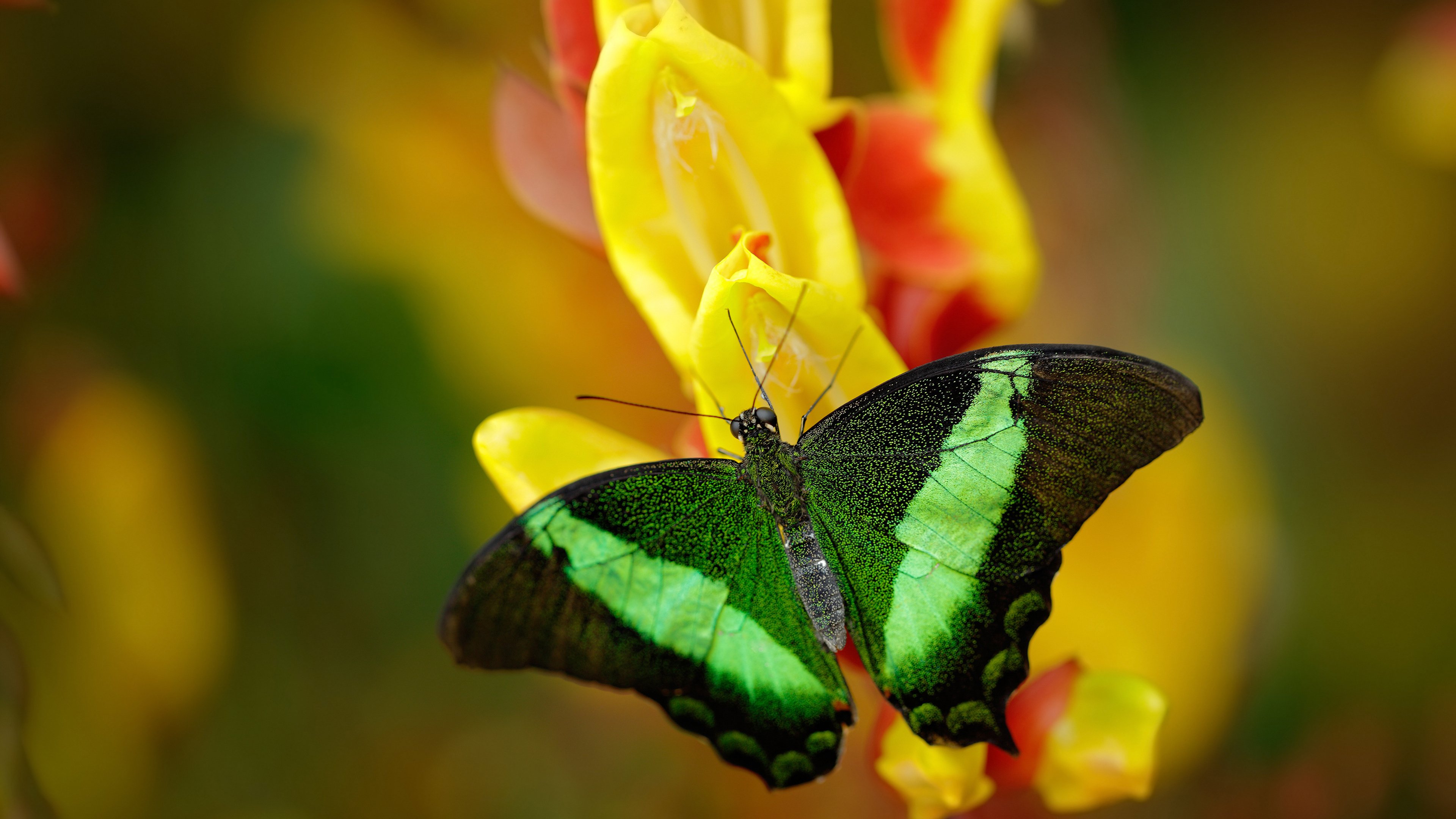 开云体育在线赛事直播-普拉提教练认证考试难度增加，要求更高，当普拉提教练要考证嘛