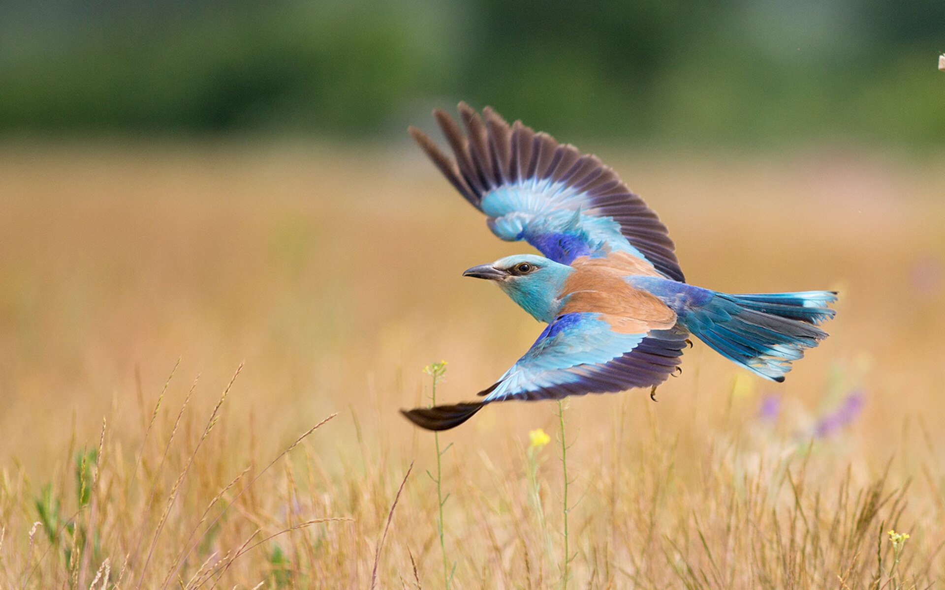 开云·体育全站登录地址-榜尾之战：保级区排名每日变化，进入“生死战”阶段