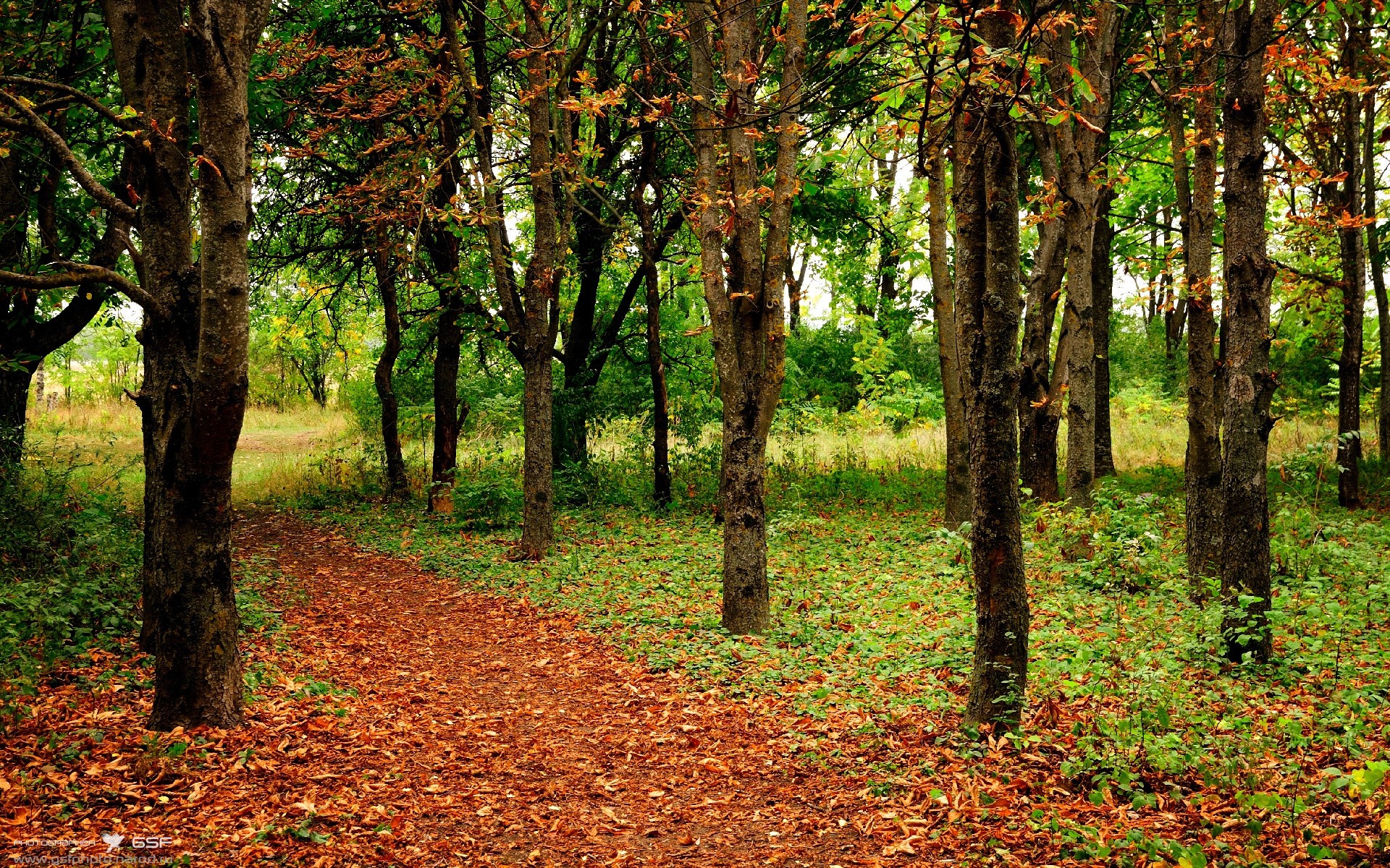 特色篮球文化国际巡演扩大影响力,塑造中国体育形象,篮球特色展示