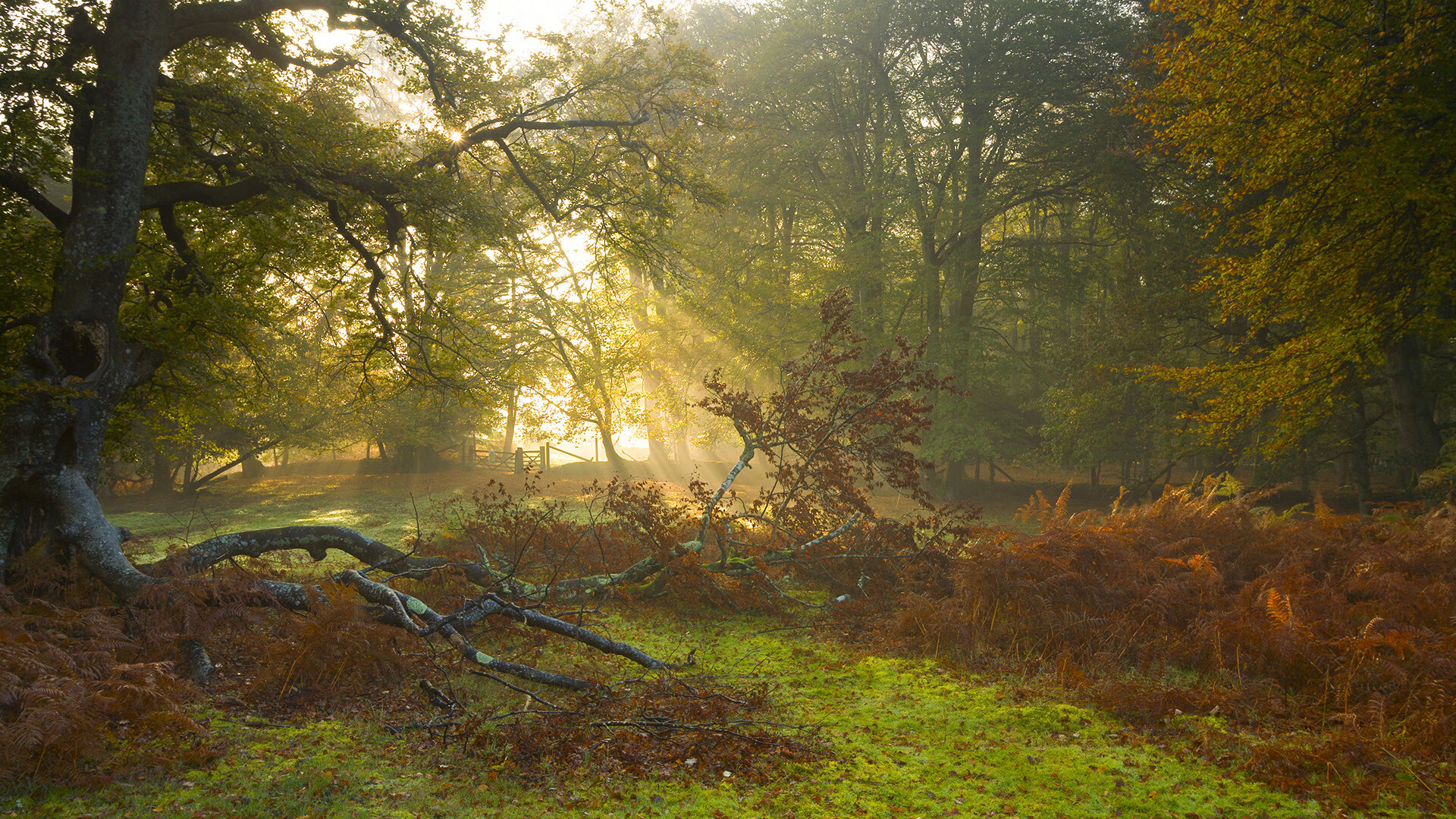 Kaiyun官方登录入口-球场上的感人瞬间：队友互助的暖心时刻，球场上的友谊作文