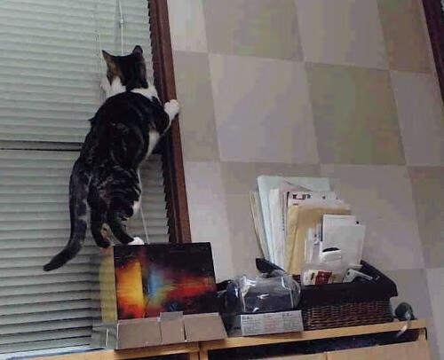 开云-东南亚球队备战南部豪强，势必全力一战，东南亚联队