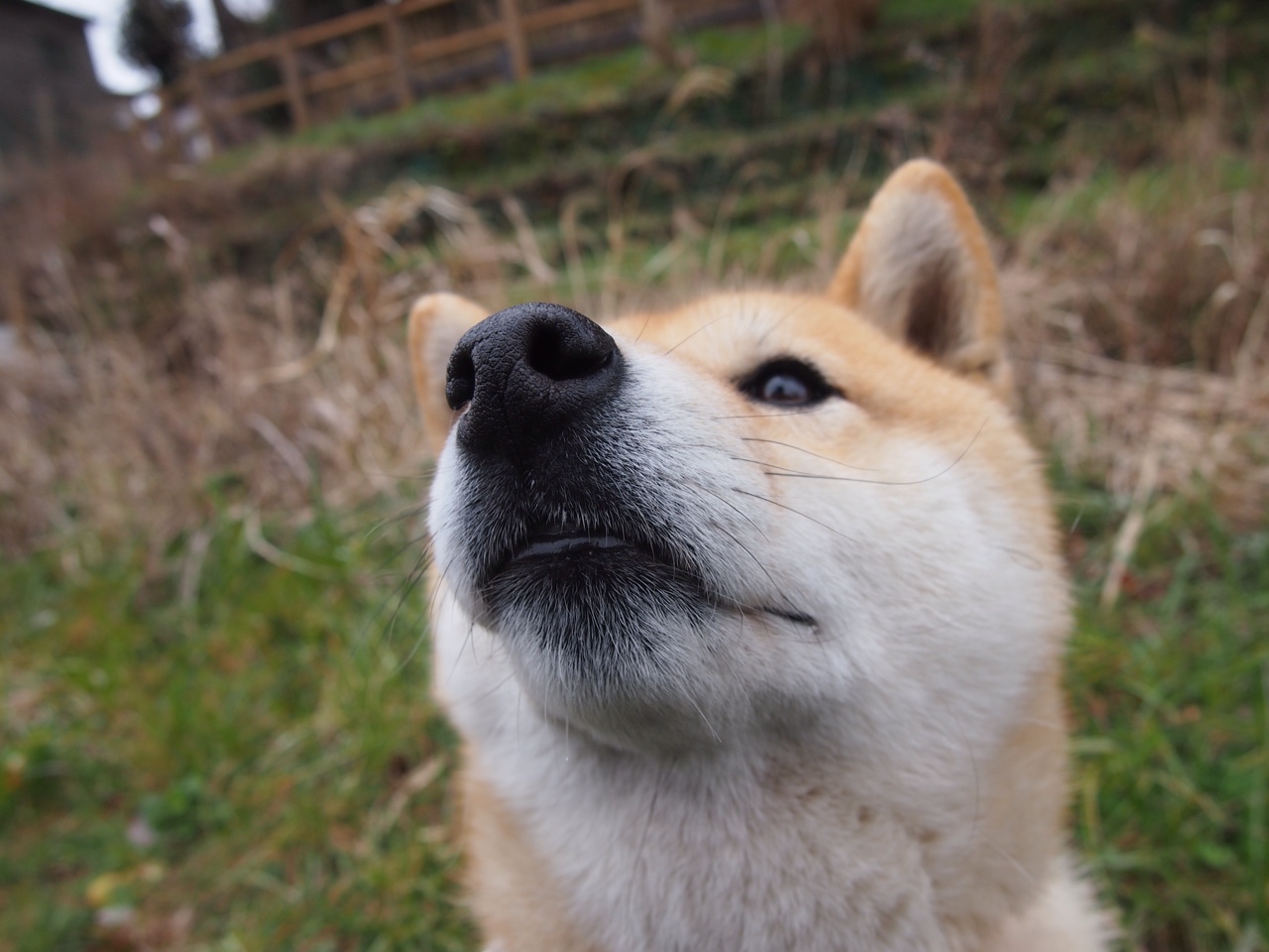 开云官方-广东宏远赛季目标锁定总冠军，广东宏远本赛季赛程安排