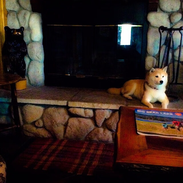 kaiyun开云·官方网站-火箭爆冷惨败雄鹿，哈登空砍+难救主，火箭失去哈登