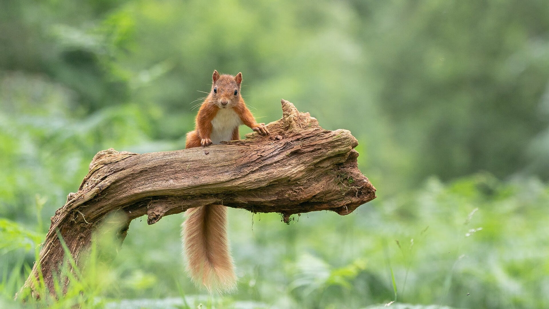 kaiyun网站-马拉加沦为悲剧队，连续失利败走降级区，马拉加b队