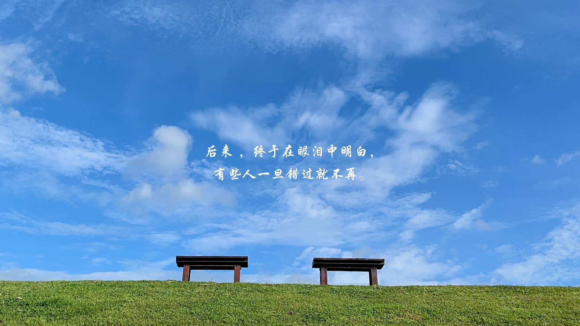 开云官网在线-青少年体育竞赛组织管理方案，青少年体育竞训工作