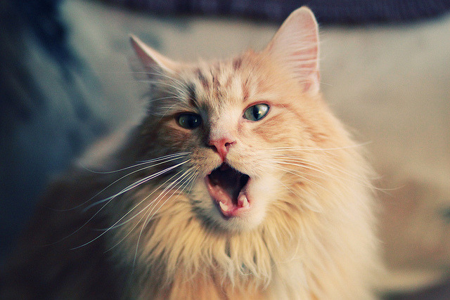 kaiyun 开云体育-国家队实力提升困难，国家队改善