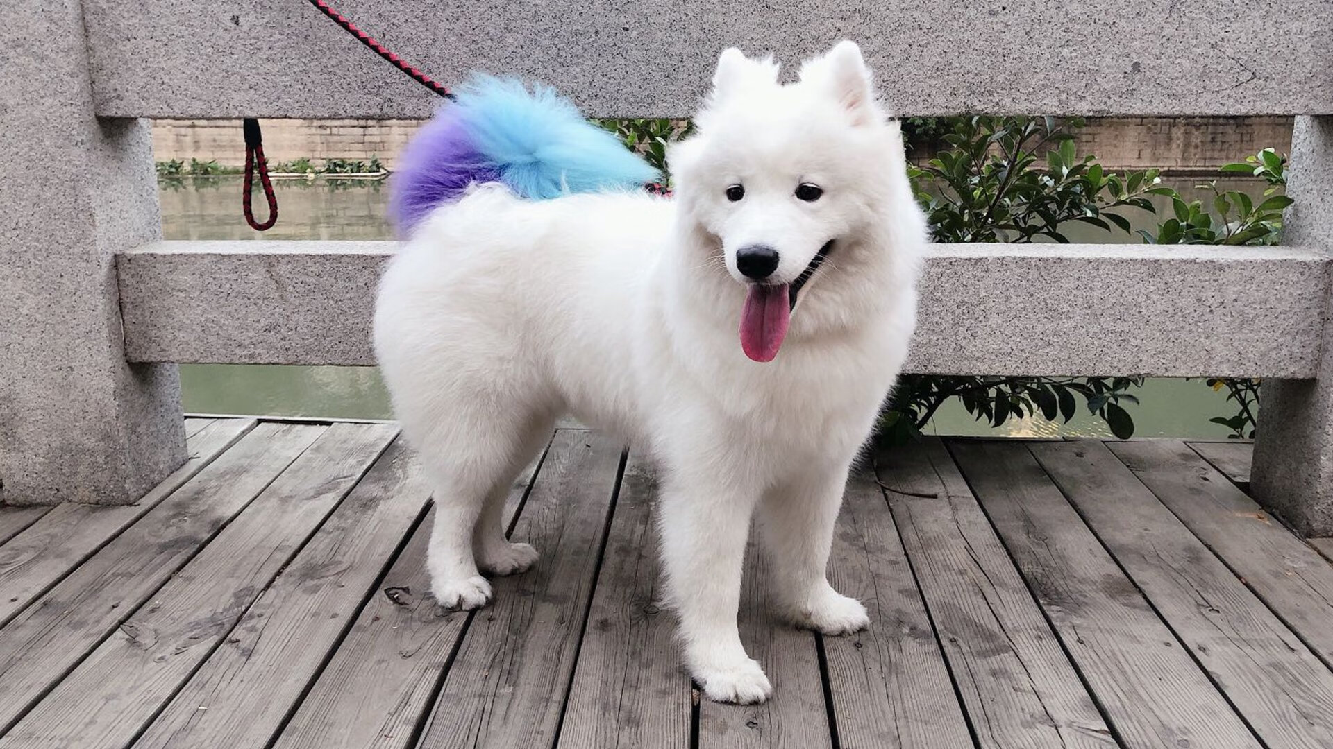 开云在线直播-中国足球职业俱乐部社会责任项目丰富，我国足球俱乐部