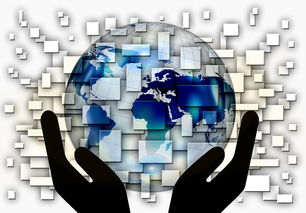 开云官网首页-国家滑板协会公布全国青少年排名更新机制，国家滑板队训练中心