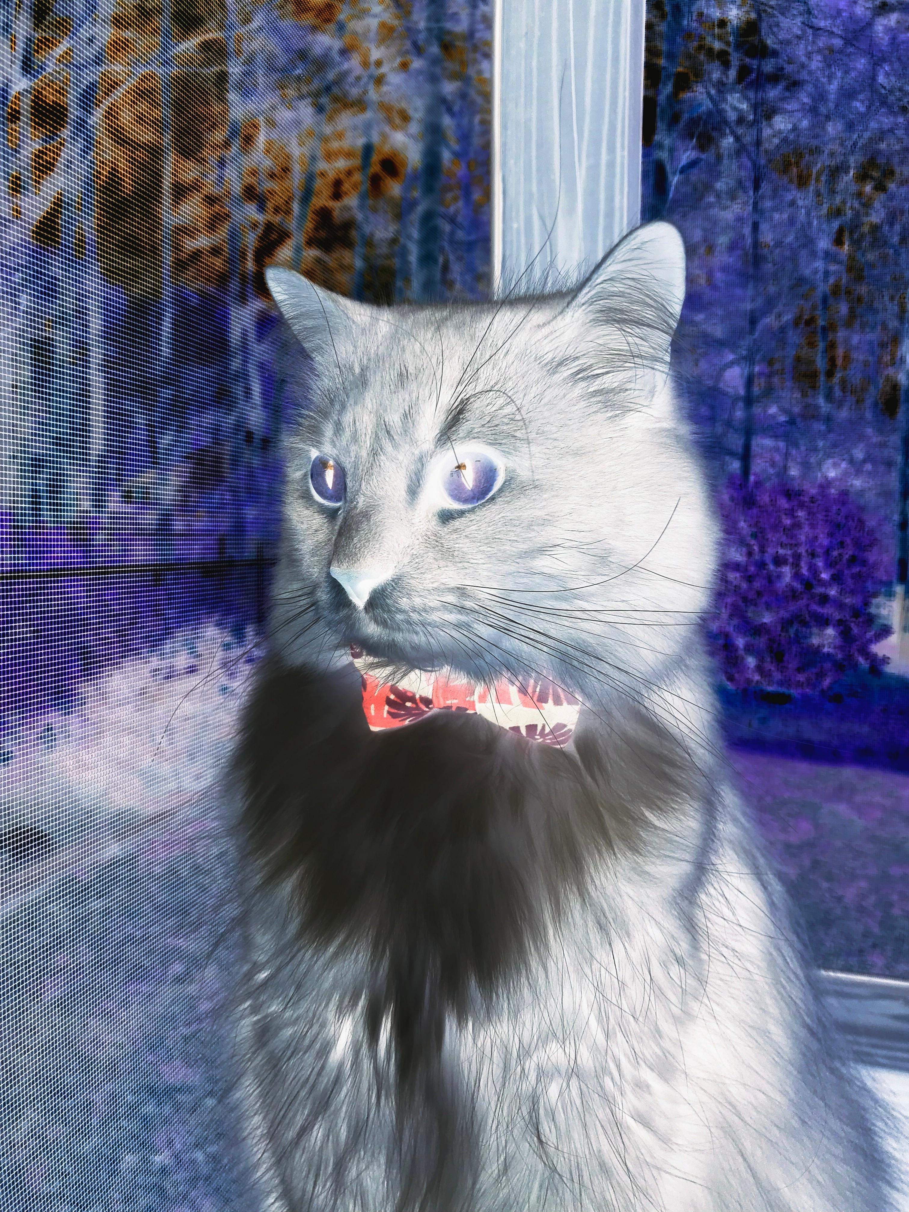 kaiyun中国官方网站-美洲杯逆境中崛起：英雄扬眉吐气！，美洲杯精彩